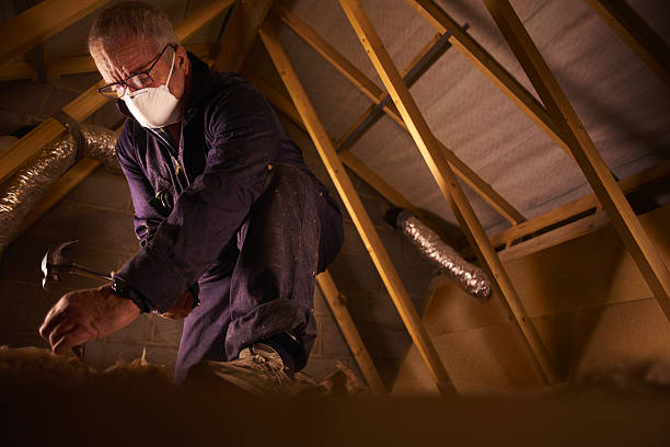 Best Eco-Friendly Insulation in Martindale, TX